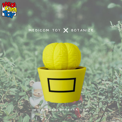 (Pre-order) MEDICOM TOY x BOTANIZE VCD PLANTS