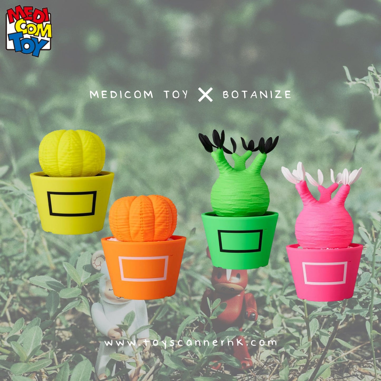 (Pre-order) MEDICOM TOY x BOTANIZE VCD PLANTS