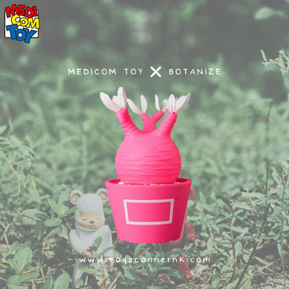 (Pre-order) MEDICOM TOY x BOTANIZE VCD PLANTS